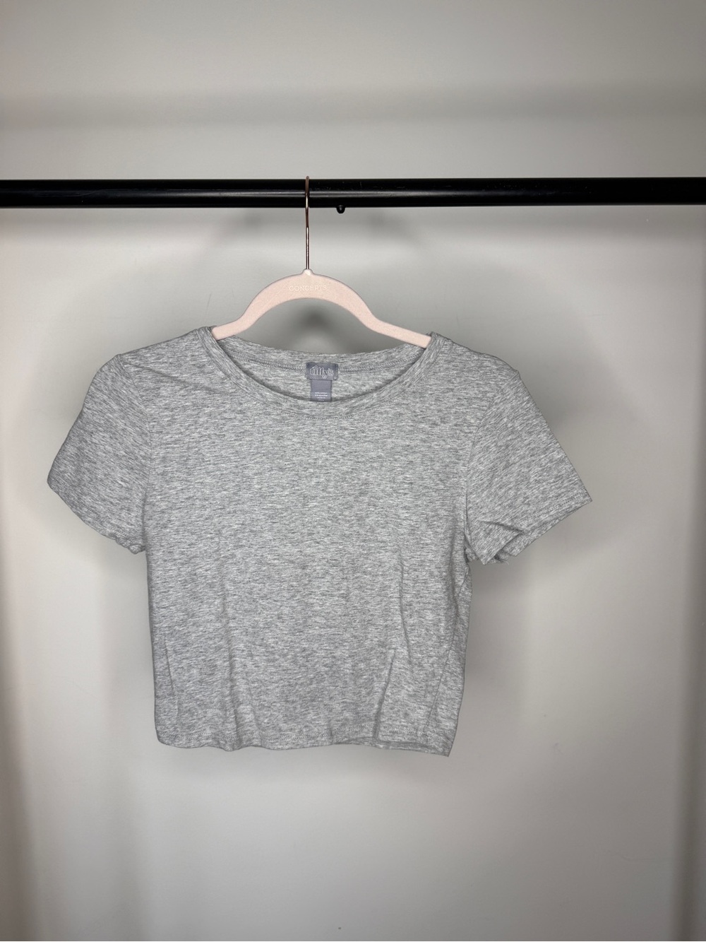 Tilly’s Basic Gray Crop Tee - Women
